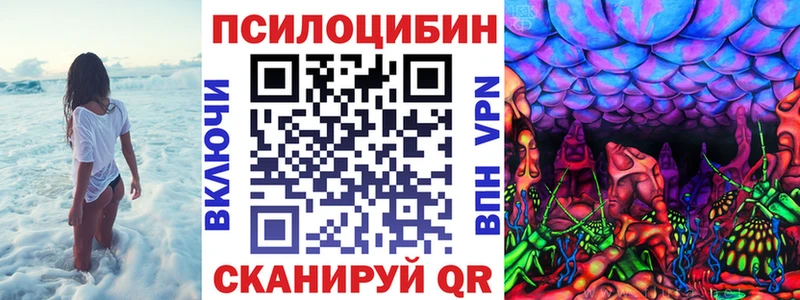 закладки Тында Галлюциногенные грибы Psilocybe