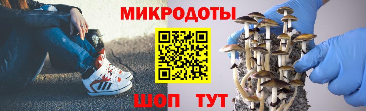 Тында  Галлюциногенные грибы мухоморы  Галлюциногенные грибы мицелий  Вход с VPN 