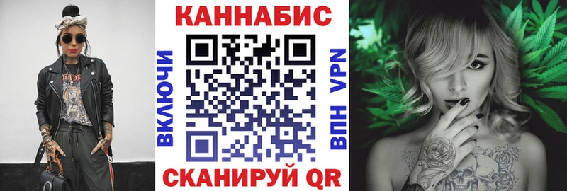 дарнет шоп  Тында  Марихуана сатива 